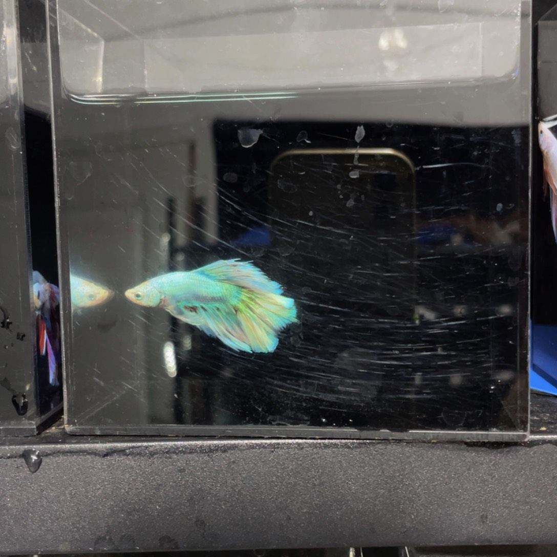 海水哈哈哈哈哈哈哈试试