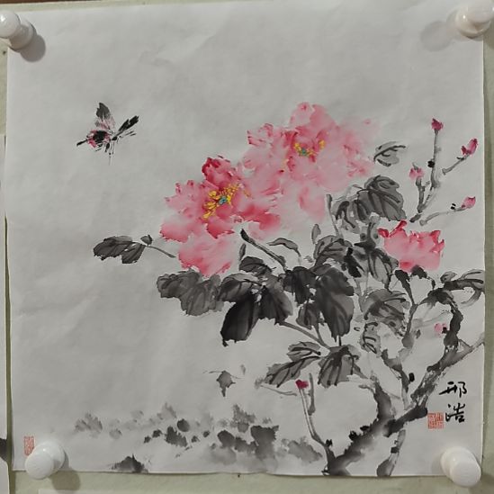 国画中国画花鸟画