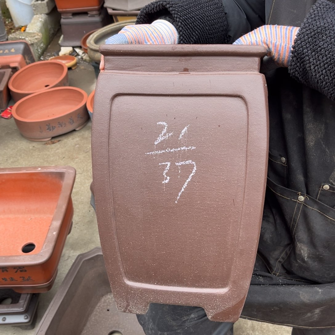 紫砂花盆盆景艺术