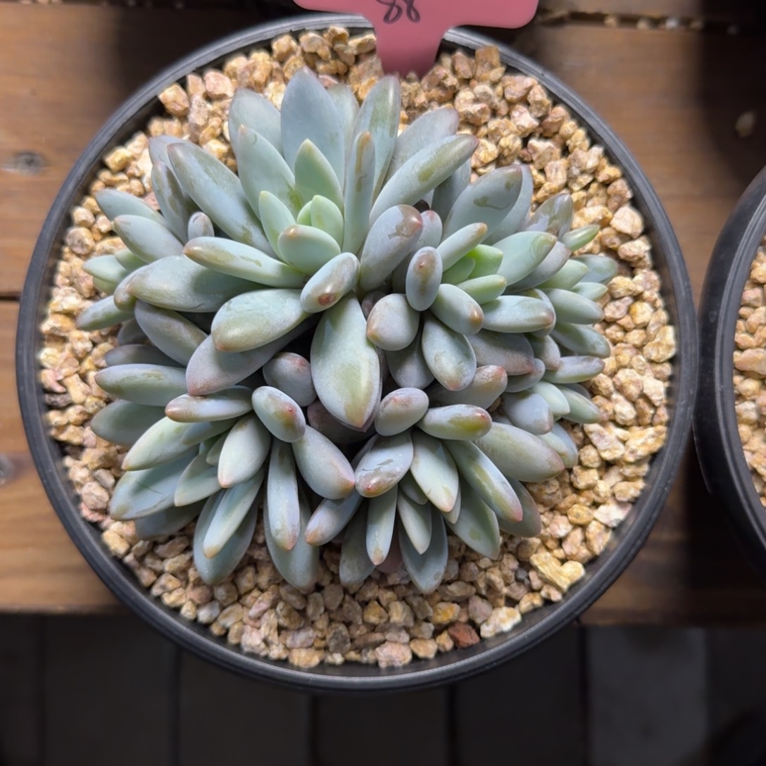 多***喵1111111111111111111111