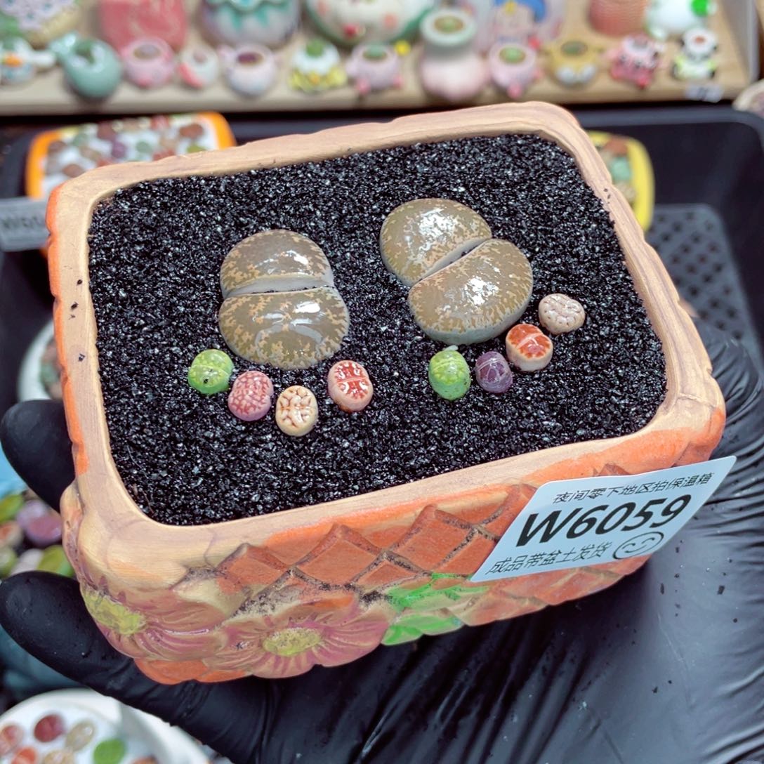 夜间零下地区拍保温箱w6059