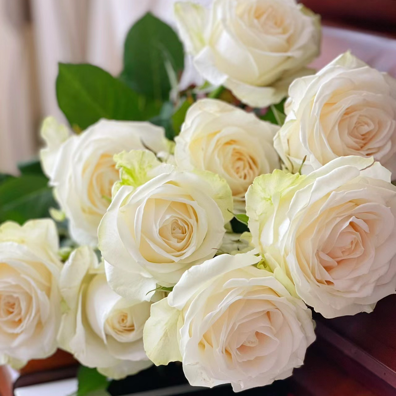 氧花季 白雪山玫瑰18支+2支防损 一单包邮 两单升级快递