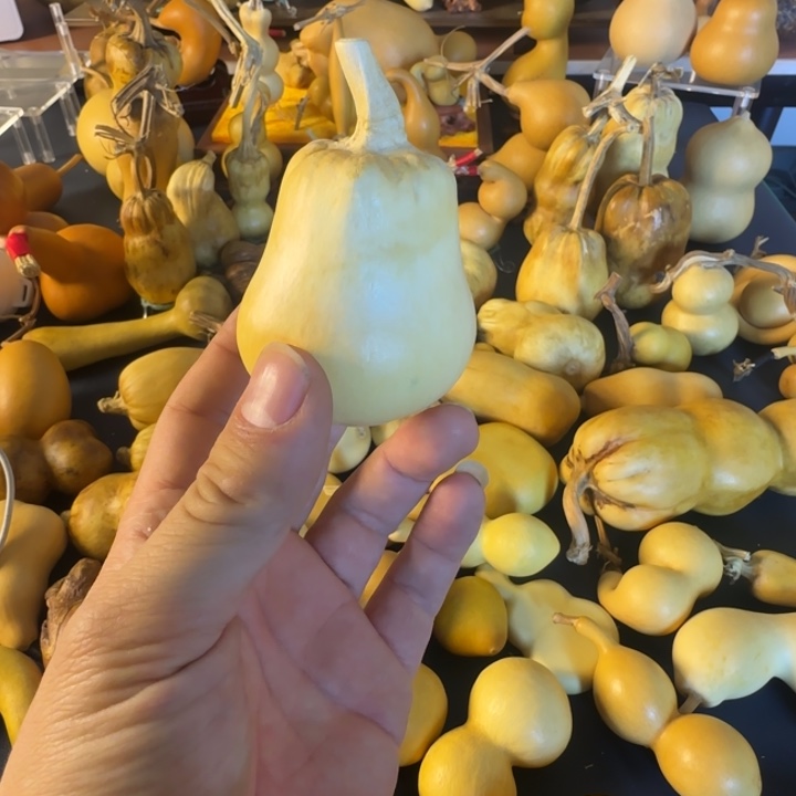 尧***禹绒面大哥就看看经济后果c更好家家户户尴尬