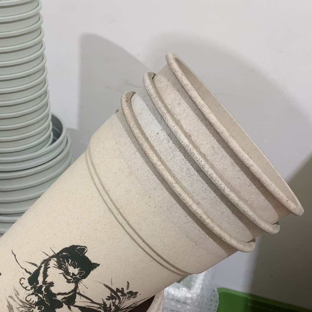 树脂兰花口21，3个无托瑕疵