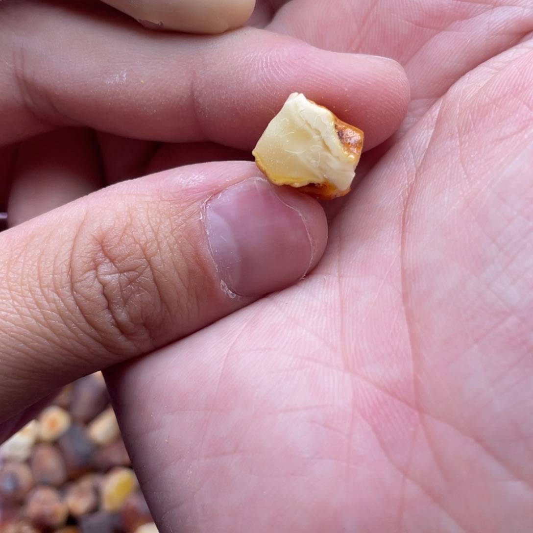 定制琥珀未镶嵌皆**。