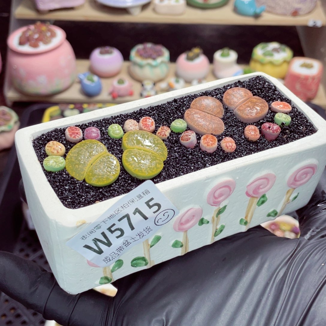 夜间零下地区拍保温箱w5715