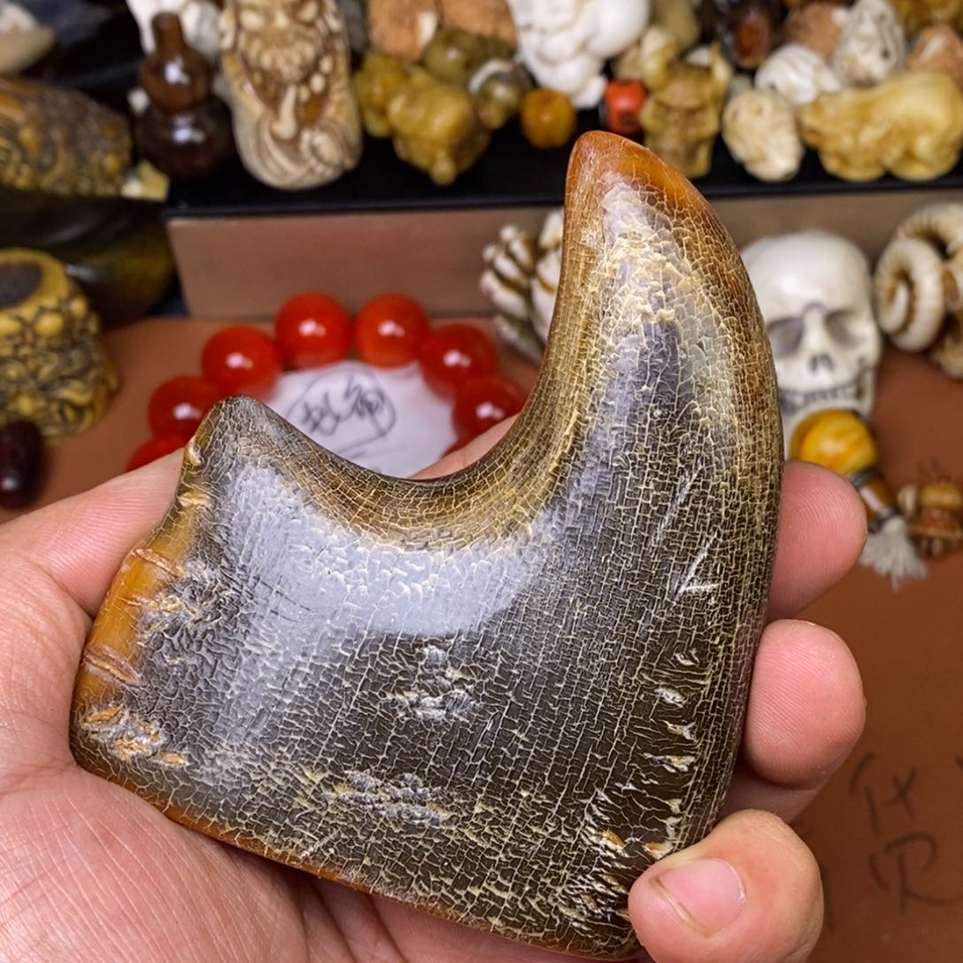 其他驼骨人工忙着