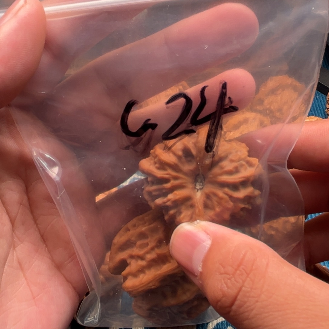 文玩核桃吊坠大龙