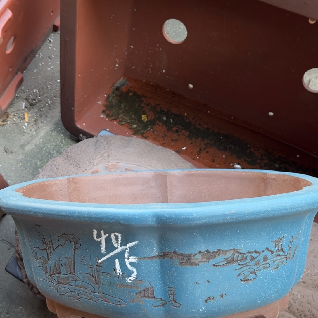 花盆紫砂盆景艺术