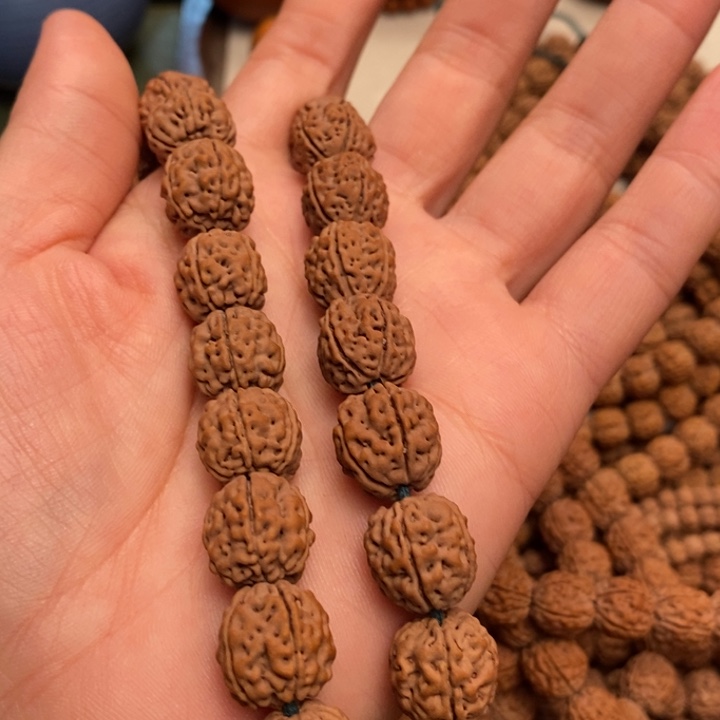 菩提她****地盘龙王小金刚