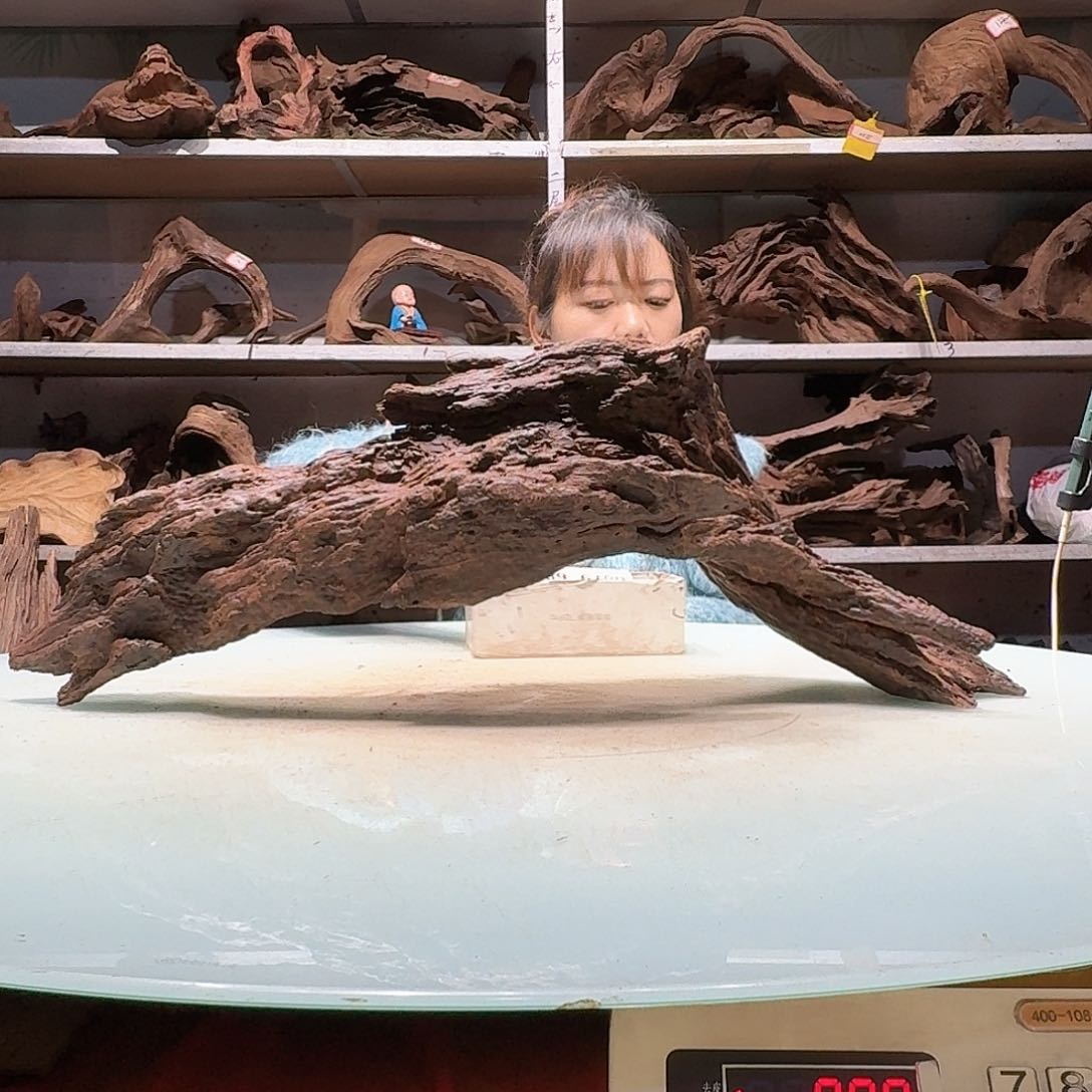 倍褚沉木不包损必褪色马*6870