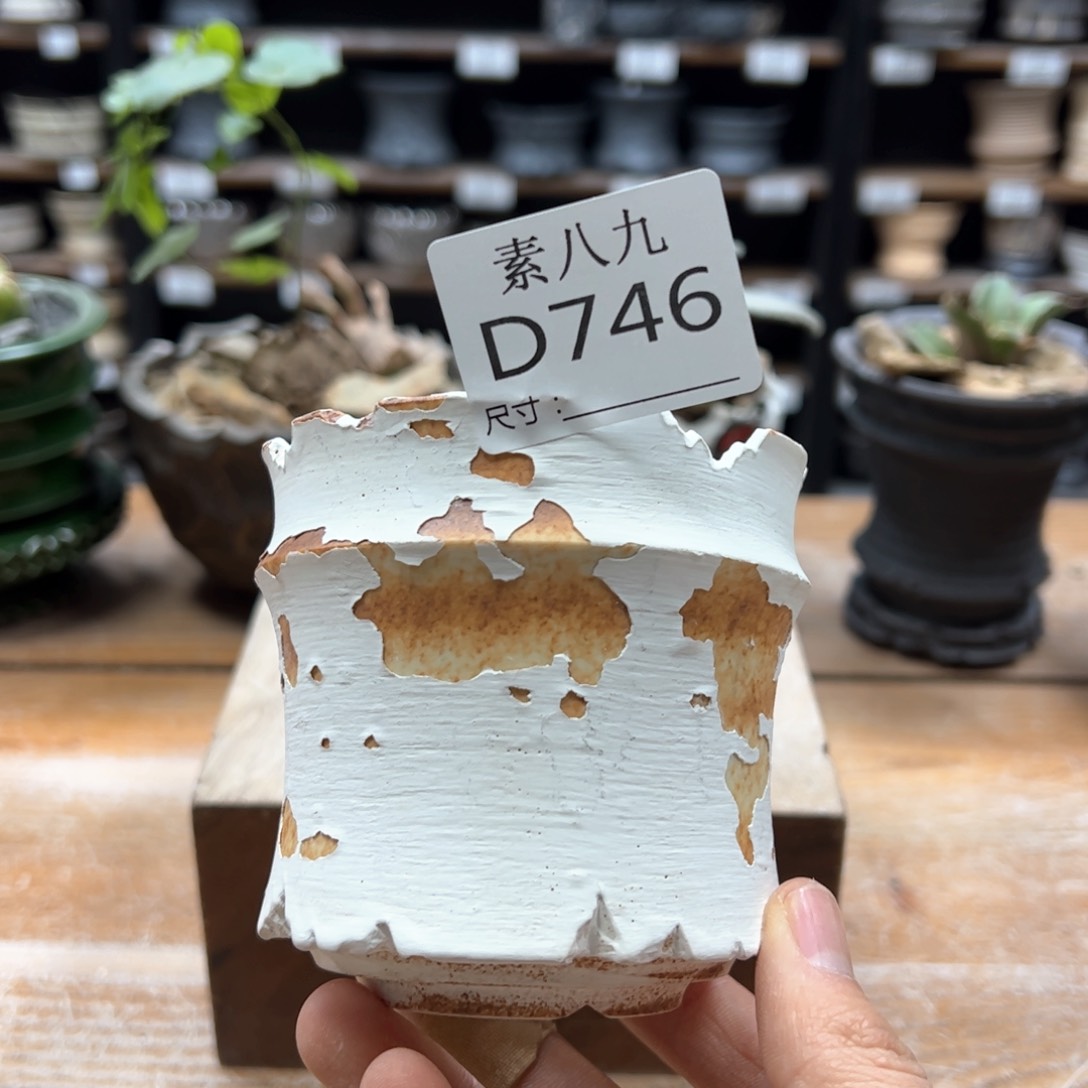 素八九陶瓷内口8.5高8.5