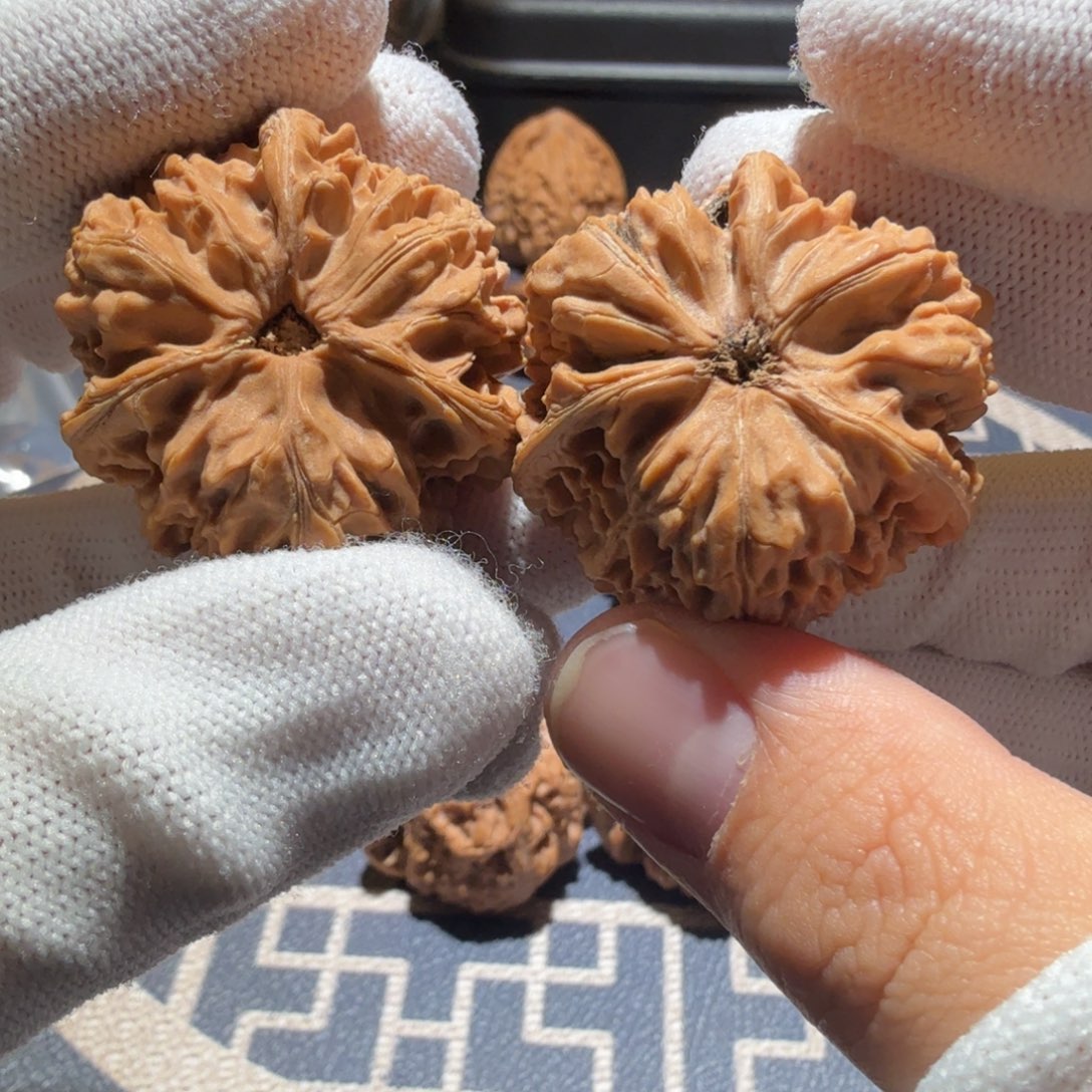 文玩核桃吊坠御龙正奔