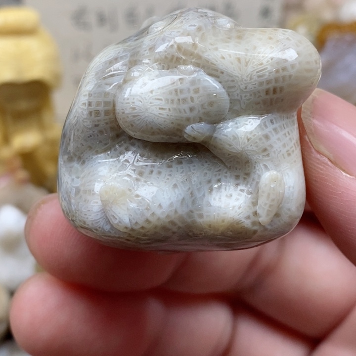 颈饰未镶嵌硅化珊瑚（珊瑚玉）