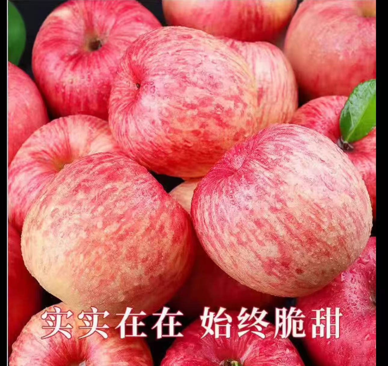 陕西洛川红富士苹果新鲜当季脆甜可口冰糖心水果10斤