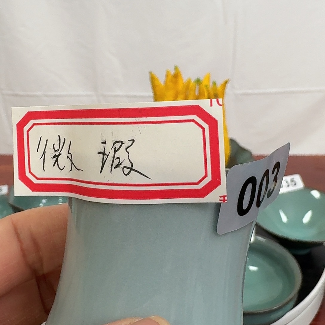 哈哈哈哈哈不错哈哈哈