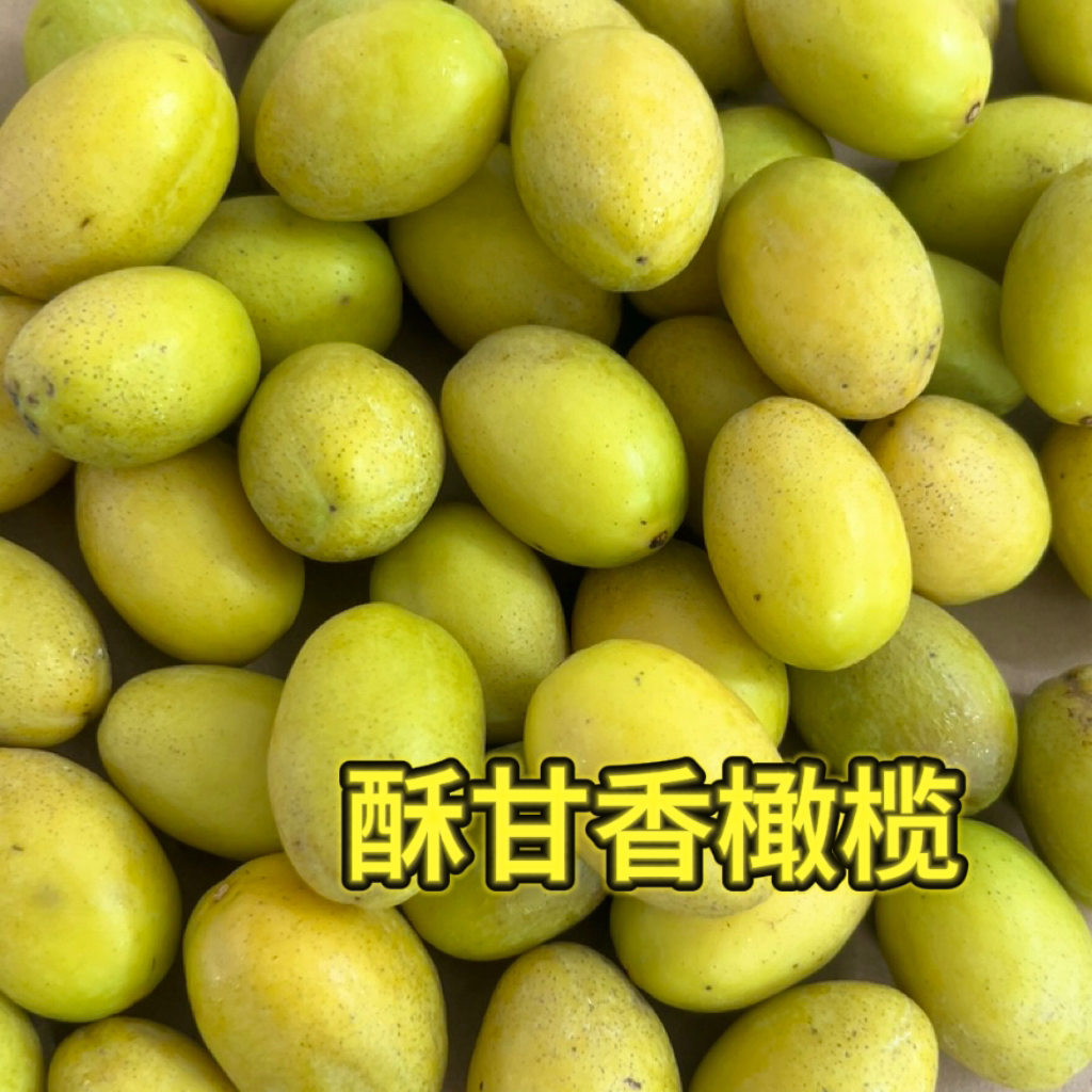 潮汕酥甘香橄榄新鲜青橄榄汁水多肉厚香甘生吃橄榄味浓香1斤起