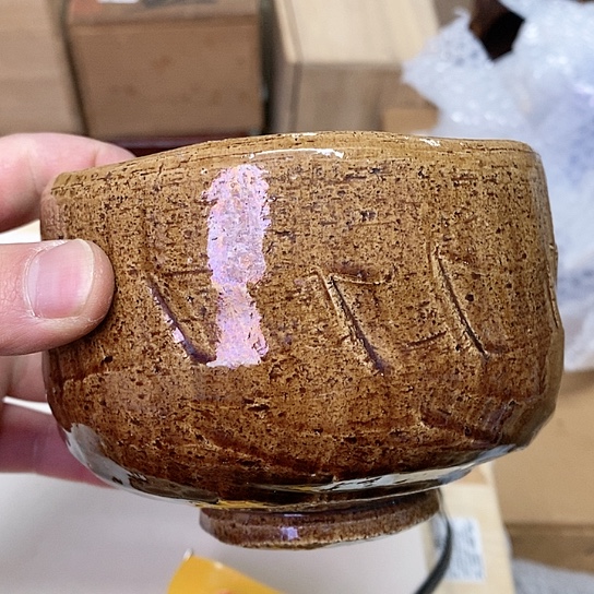 紫砂哈哈哈哈哈哈哈哈哈