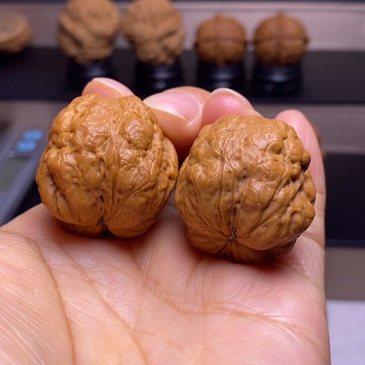 文玩核桃把件肌肉蟾86
