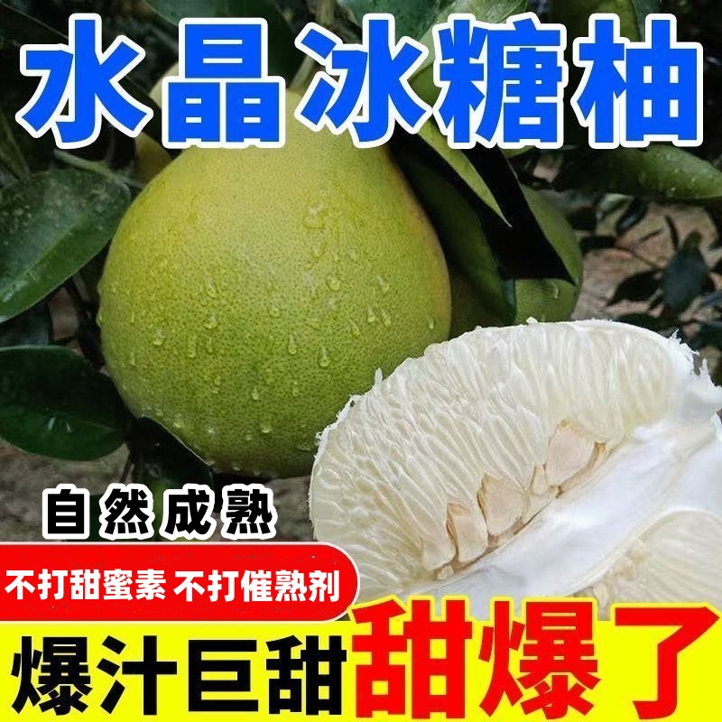 正宗湖南安江柚冰糖柚老树果江西吉安薄皮爆汁蜜柚麻麻柚产地直发
