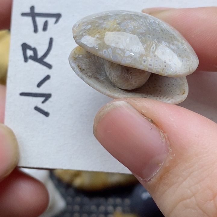 颈饰未镶嵌硅化珊瑚（珊瑚玉）