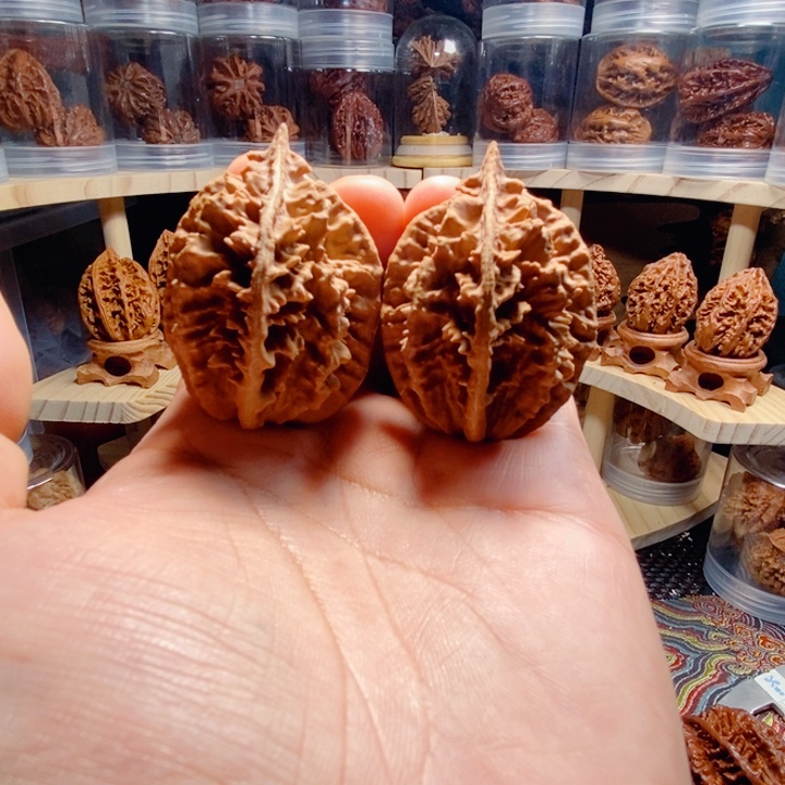 之***常把件文玩核桃霸王龙脊