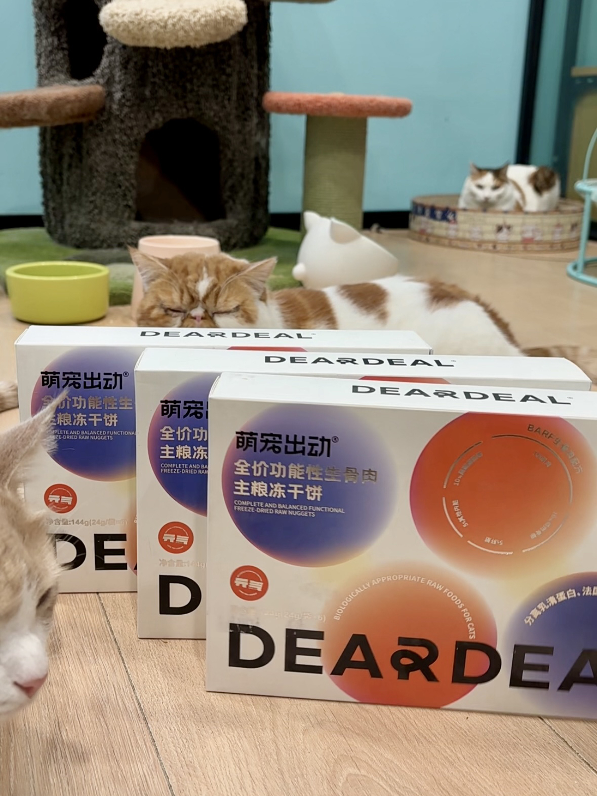 啦调酱 萌宠出动生骨肉饼冻干主食猫粮伴侣大块主食生肉饼144g