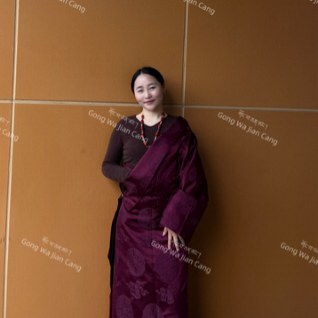 贡瓦坚仓优质女款藏服民族风紫色中长款女士藏装西藏新款