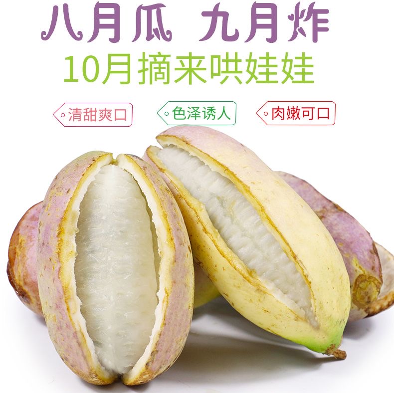 【EMS包邮 送货上门 】 湖南湘西新鲜水果八月瓜九月炸稀奇药食 T源