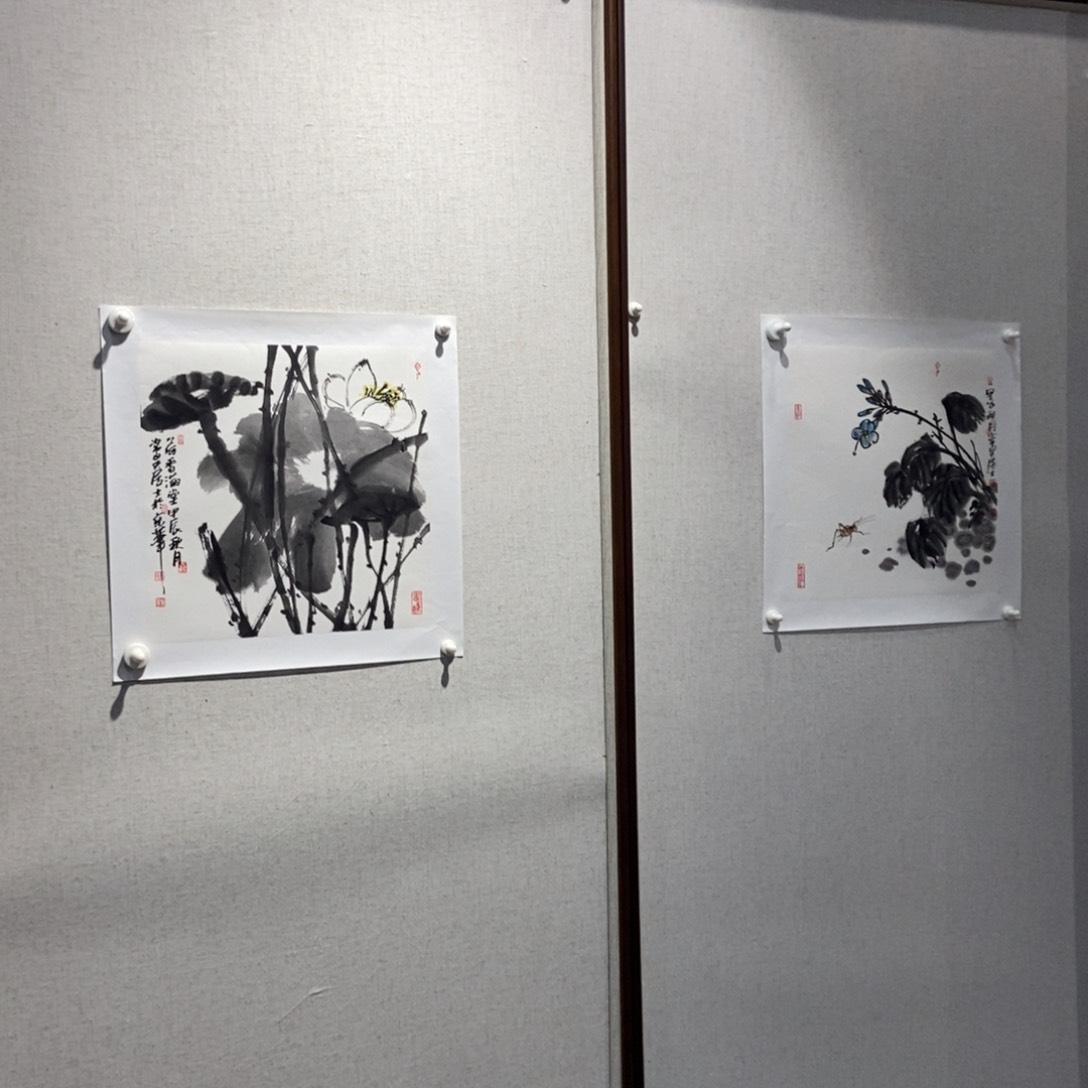 【闪购商品】国画用****3墨鱼精品墨鱼精品