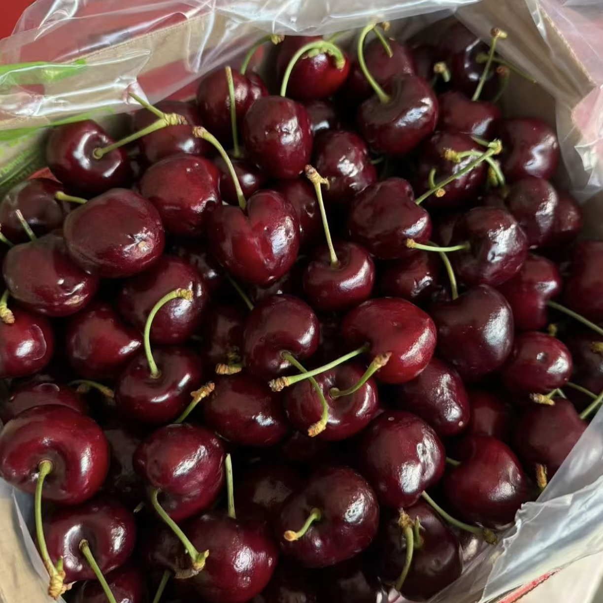 顶级4J级238元/5斤顶级空运刚刚到货4JD级现称新鲜绿柄桑提娜车厘子净重1斤空运桑提娜智利