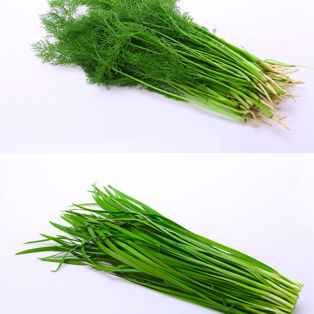 【猴瘦瘦农场】1斤韭菜➕1斤茴香组合