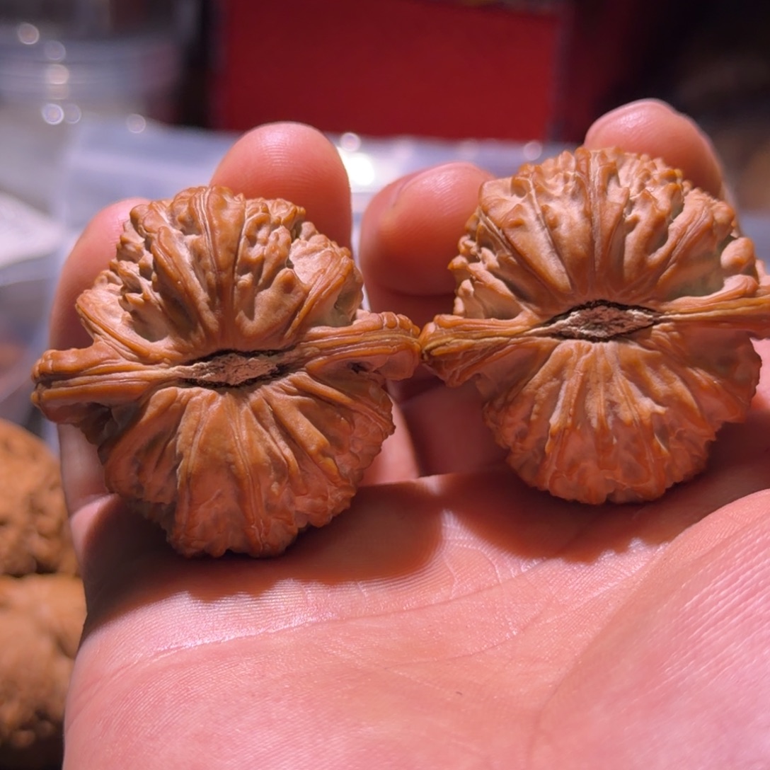 R***h吊坠文玩核桃45闷白红皮了，尖有黄