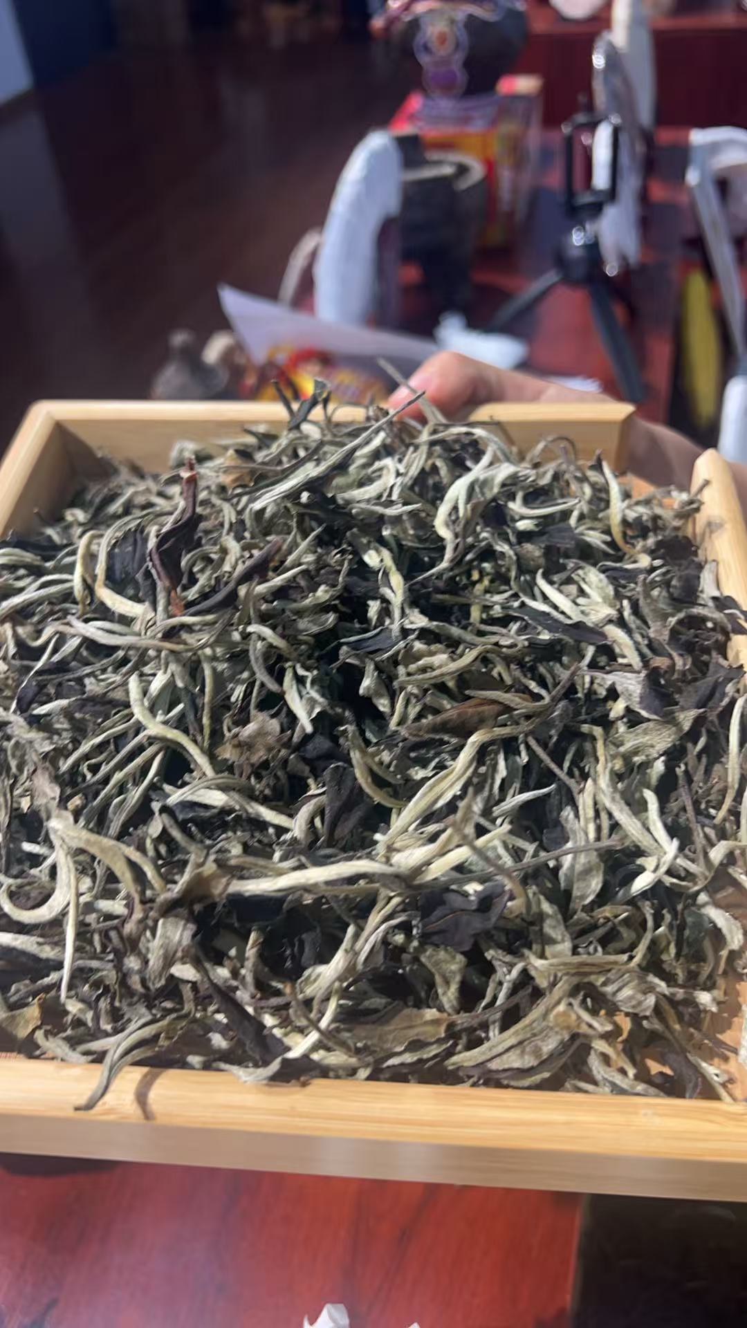 【新店福利】白茶白牡丹月光白一芽一叶250g