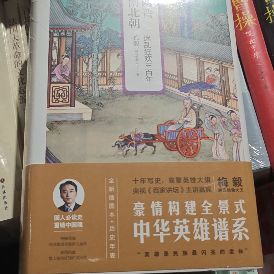 两晋南北朝精装塑封全新梅毅