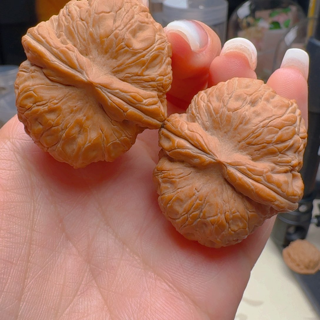 核桃把件38尺寸元宝