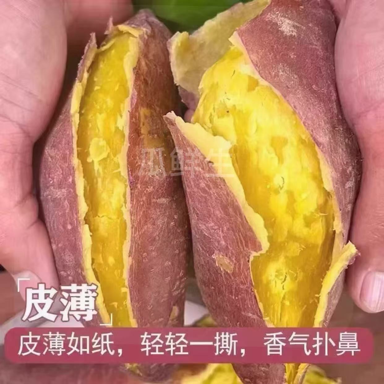正宗板栗红薯新鲜蜜薯沙地超甜现挖红薯黄心山芋地瓜香甜