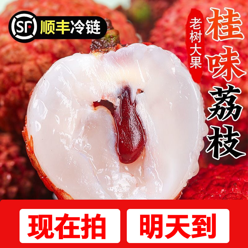 6-27日现货【明日达顺丰包邮】DS广东正宗桂味荔枝当季新鲜水果0.5斤-4斤装