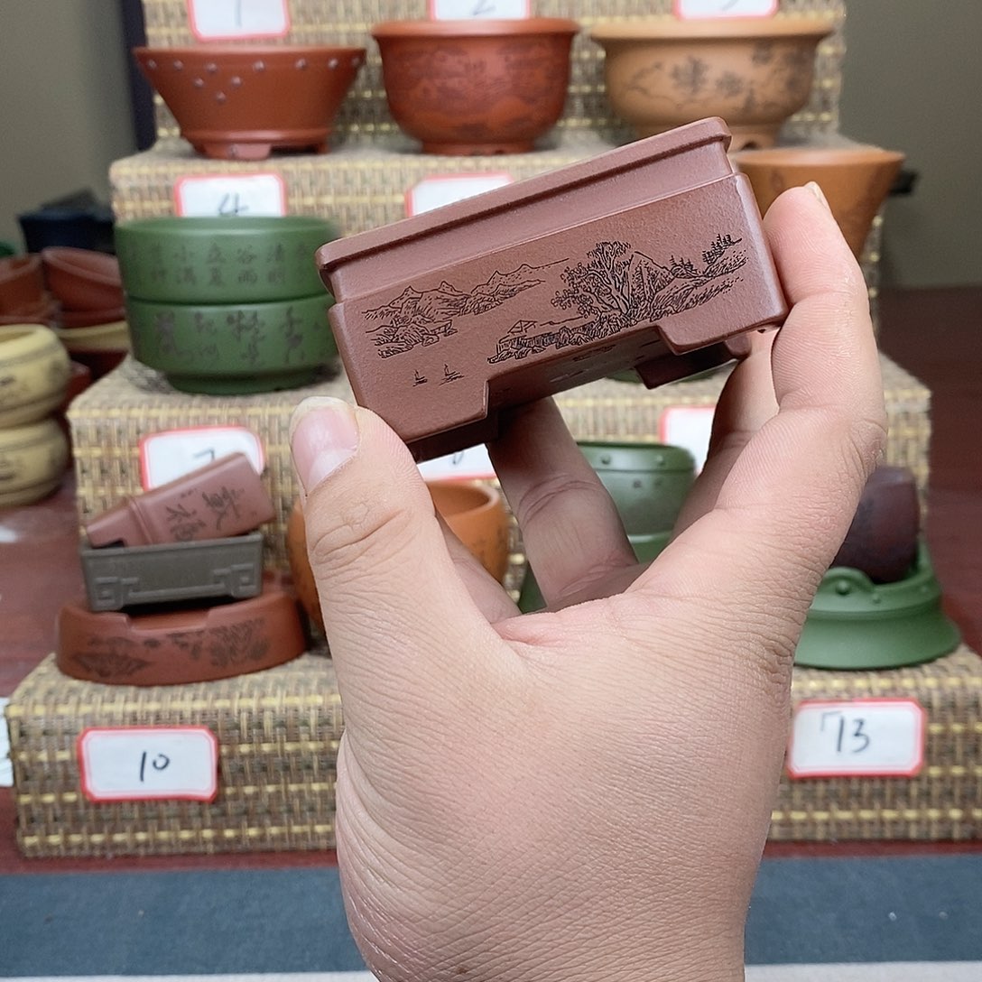 紫砂花盆我在等一