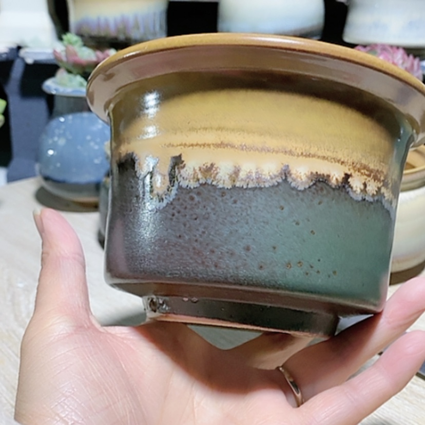 【闪购商品】红陶口12