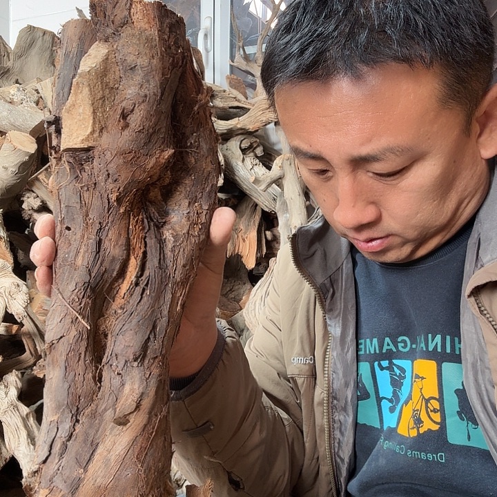 海***0柏木崖柏毛料的加工