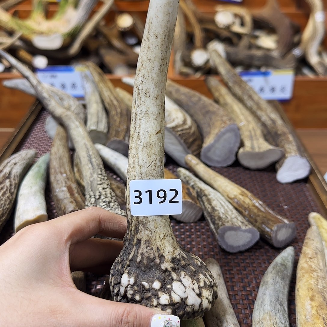 鹿骨手串/手链独角3192