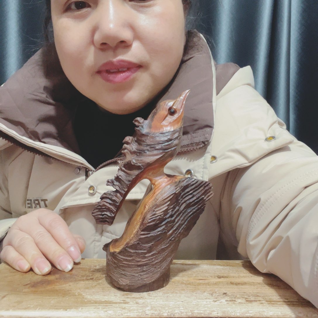 L****夜百年树的生长环境