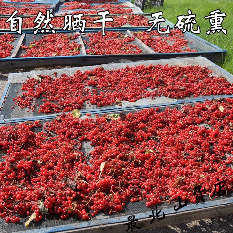 东北长白山野生五味子可泡水煮粥色泽紫红油性大