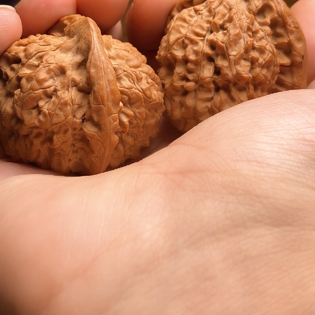 橄榄核手串/手链h g h h