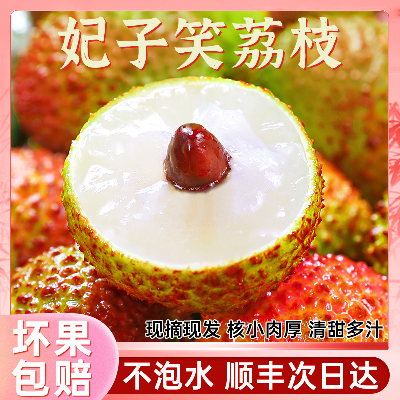 【东北专属】海南妃子笑荔枝1-5斤 头茬鲜果 新鲜采摘不泡水不催熟 应季水果整箱包邮荔枝同城送荔枝同城送