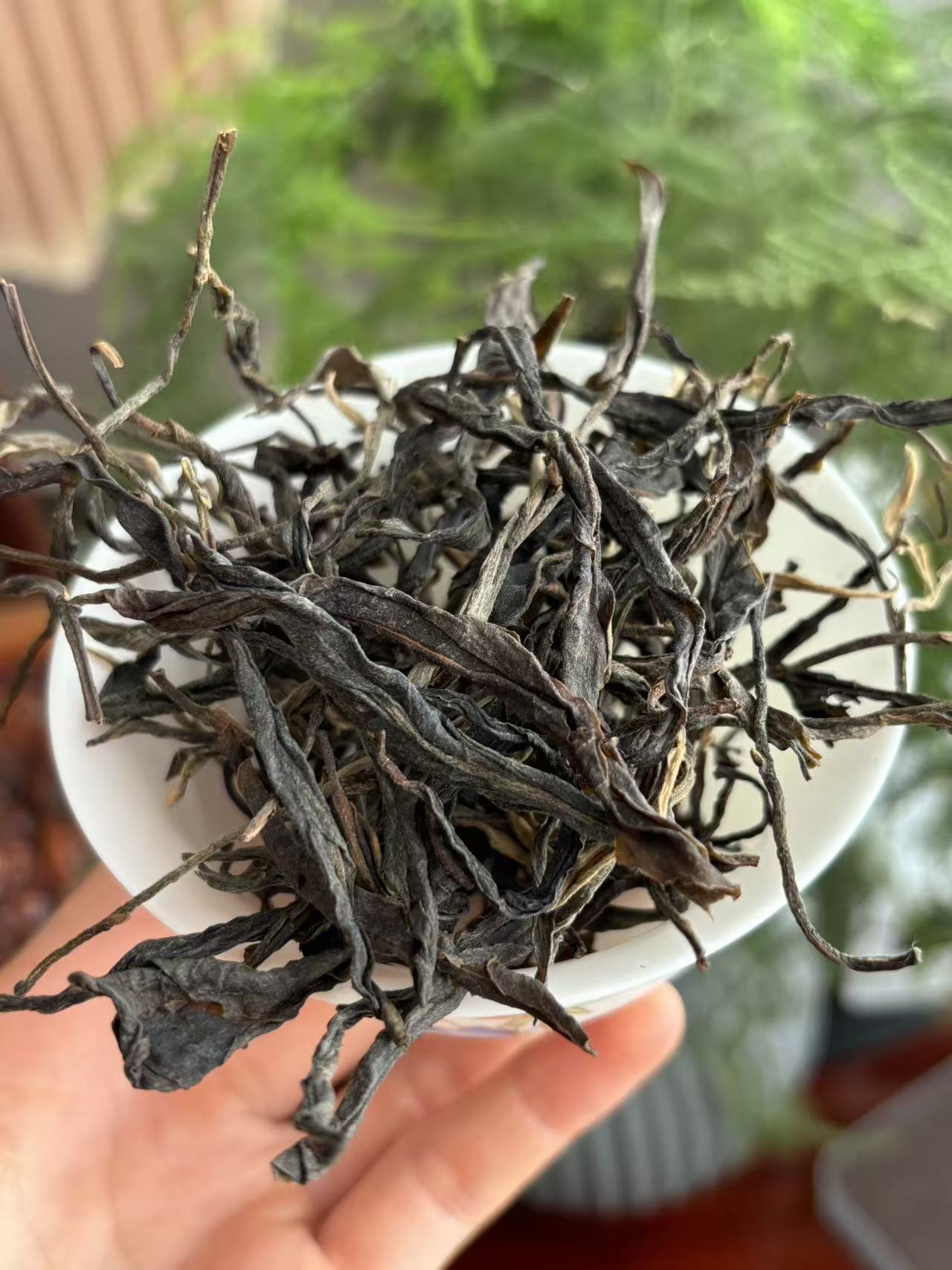 2023年黑玫瑰春茶散茶普洱生茶