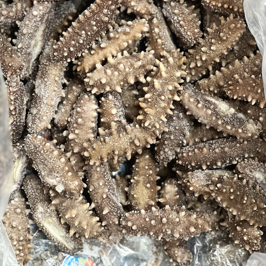 【大连即食海参】口感软糯Q弹｜冷链包邮