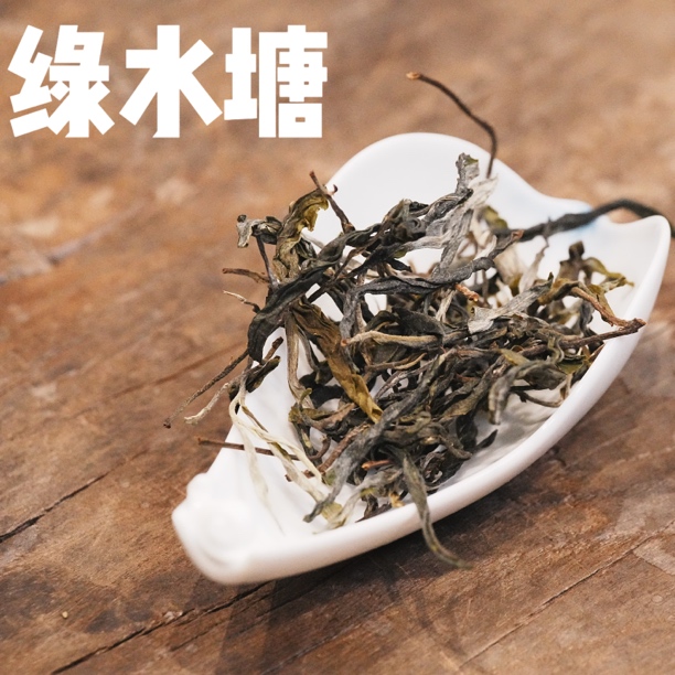 【绿水塘古树头春】2025普洱茶散茶