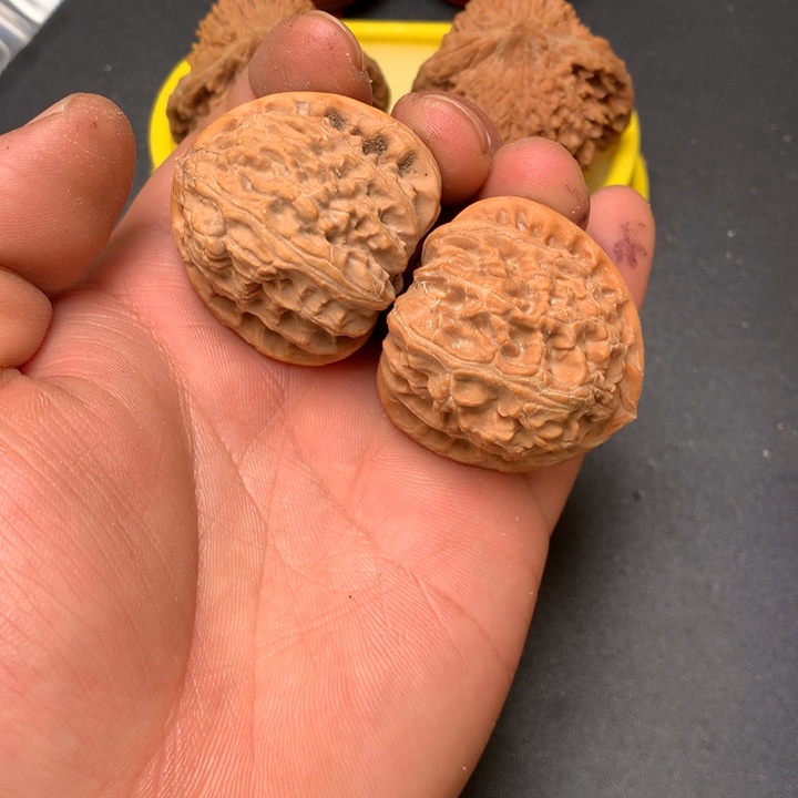 把件文玩核桃38白狮子35